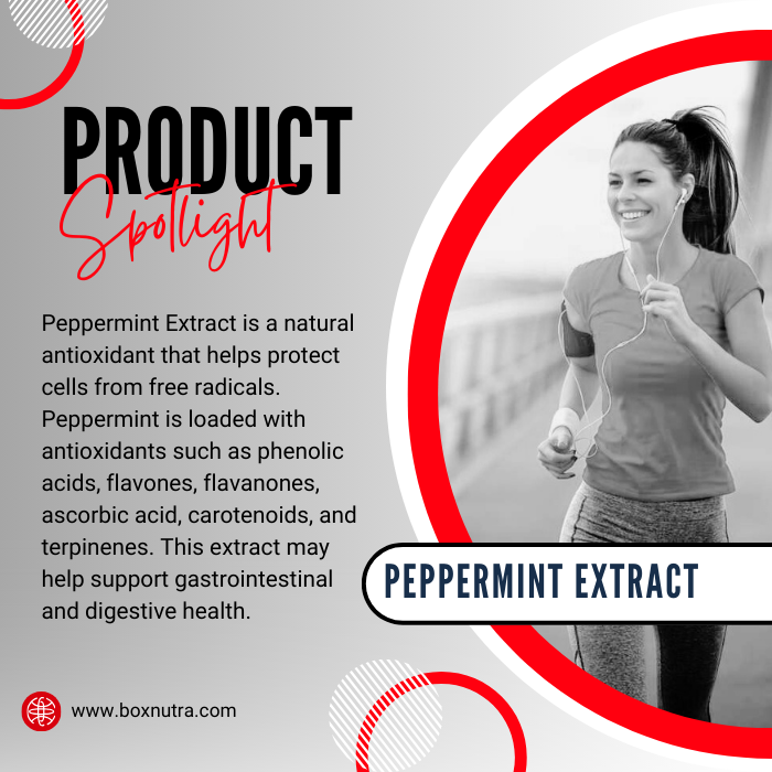 Peppermint Extract 4:1 (Leaf)