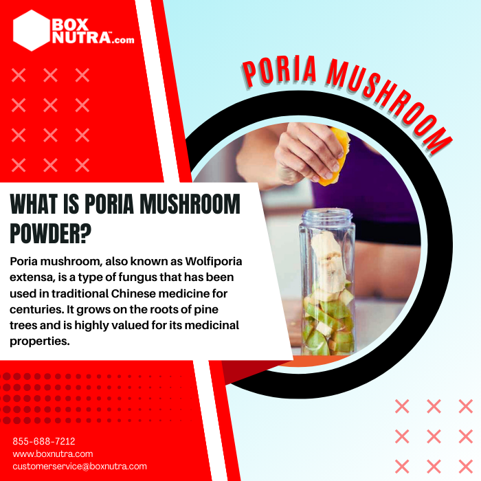 Poria Mushroom Powder