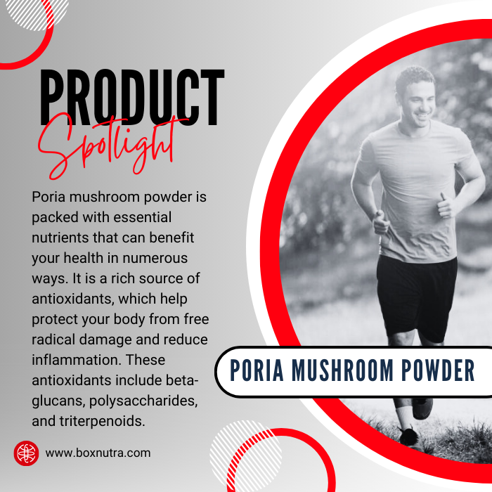 Poria Mushroom Powder