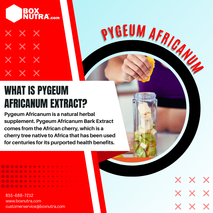 Pygeum Africanum Extract 4:1 (Bark)