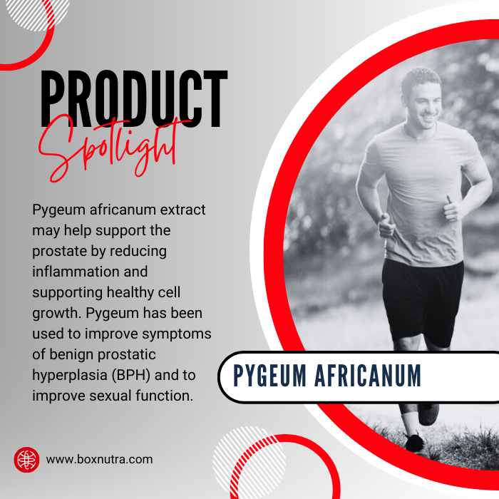 Pygeum Africanum Extract 4:1 (Bark)