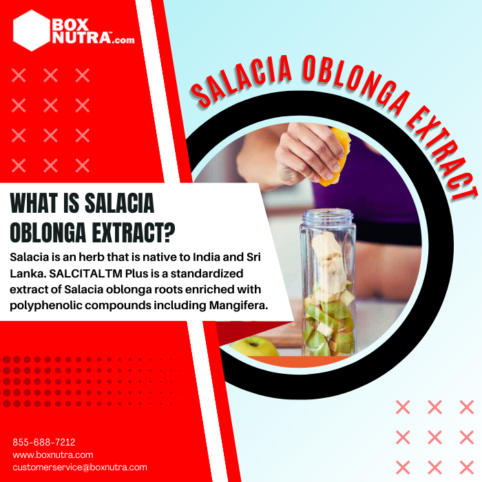 Salacia Oblonga Extract 6:1 (Root)