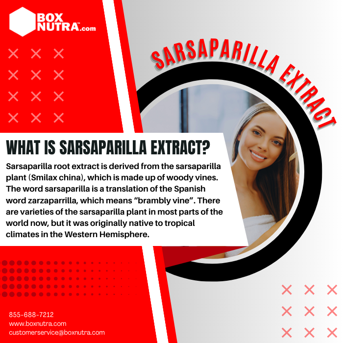 Sarsaparilla Extract 4:1 (Smilax China)(Root)