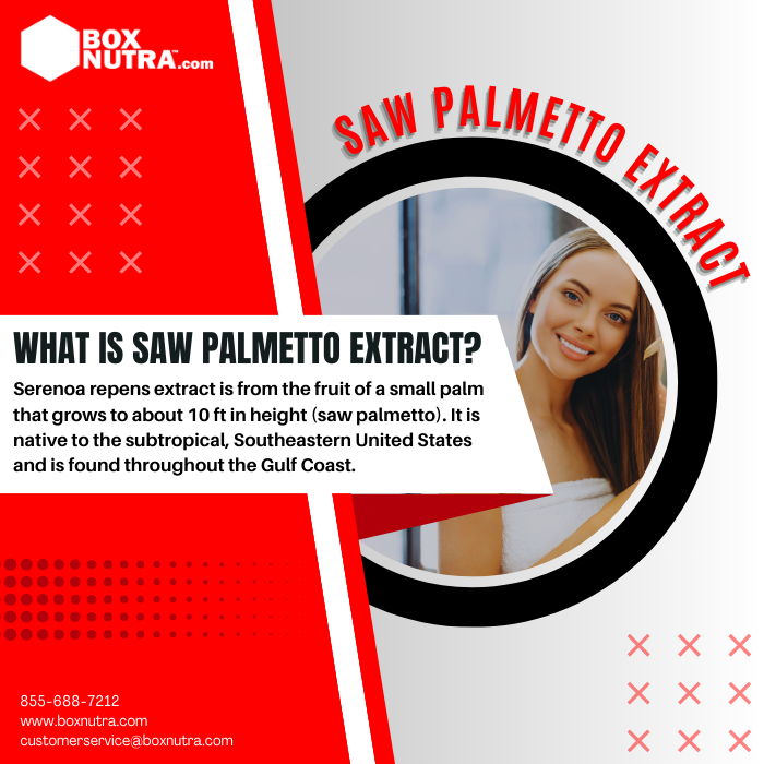 Saw Palmetto Extract 4:1 (Serenoa Repens)(Fruit)