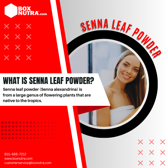 Senna Leaf Powder