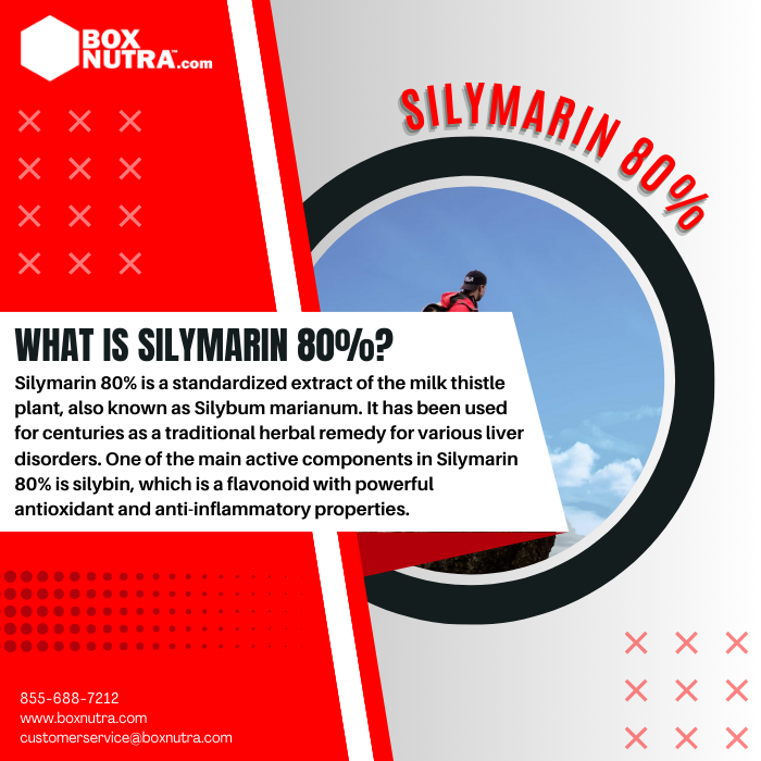 Silymarin 80% (As Silibinin)(From Milk Thistle Seed Extract)