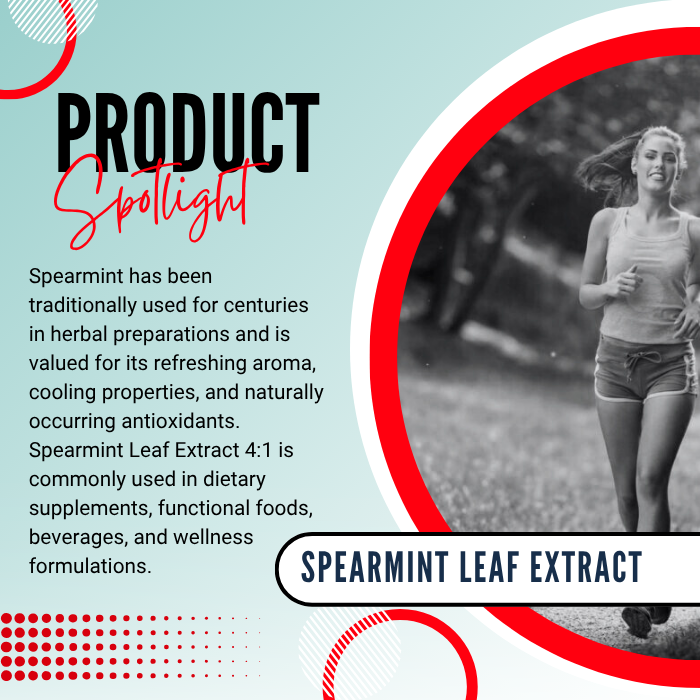 Spearmint Leaf Extract 4:1 (Mentha spicata)