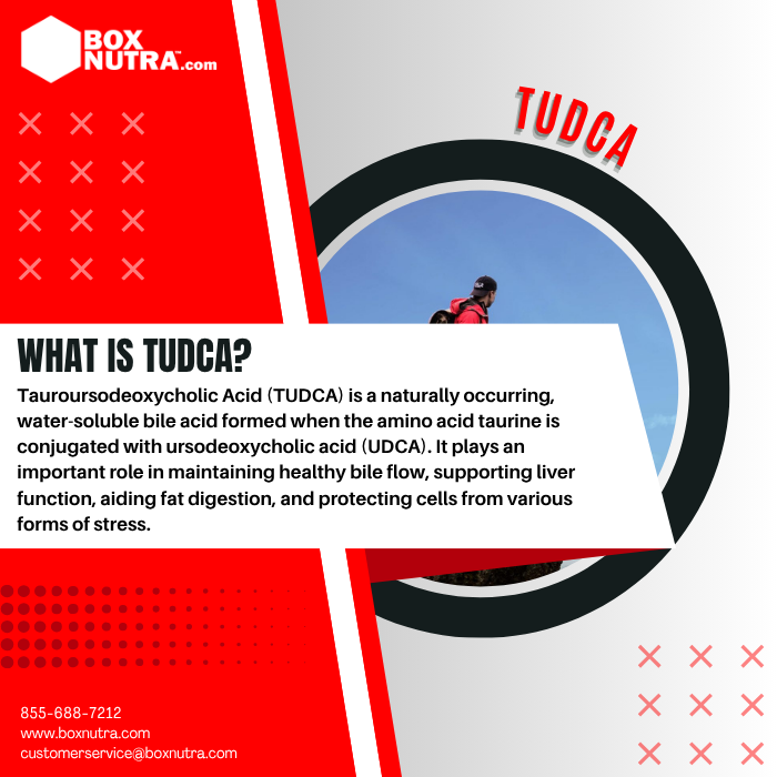 Tauroursodeoxycholic Acid (TUDCA)