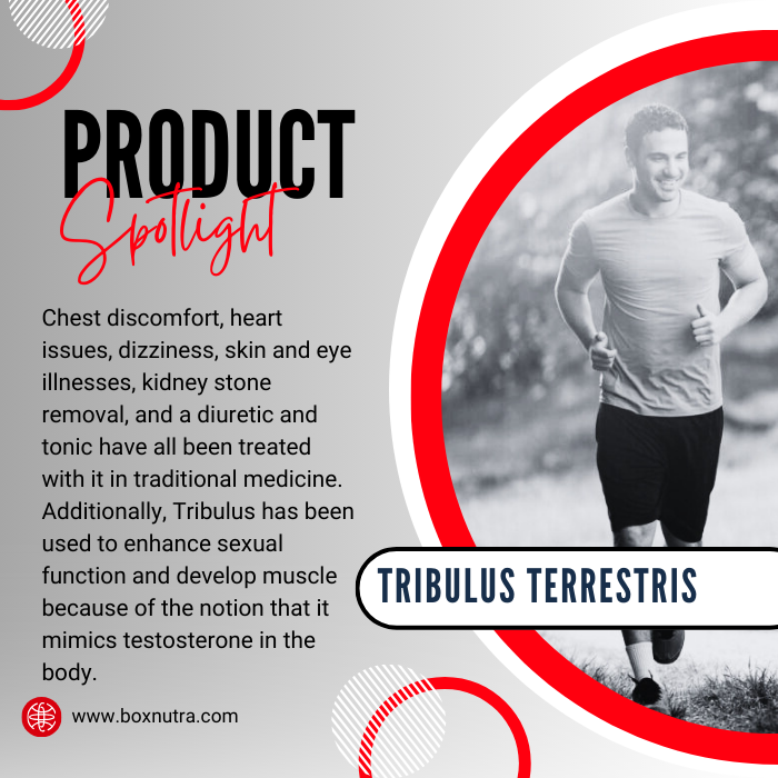 Tribulus Terrestris Powder (Fruit)