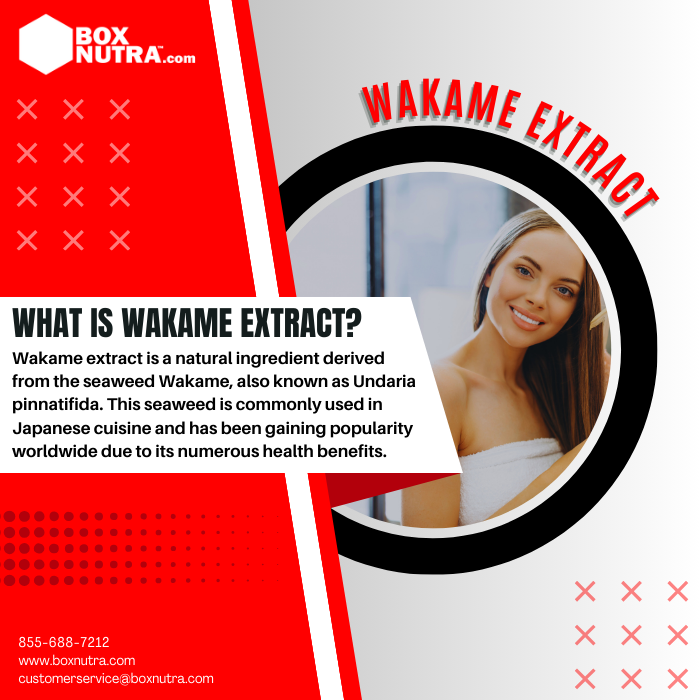 Wakame Extract 10:1 (Leaf)