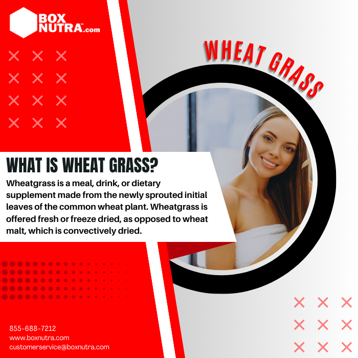 Wheat Grass (Triticum Aestivum L.)(Leaf)