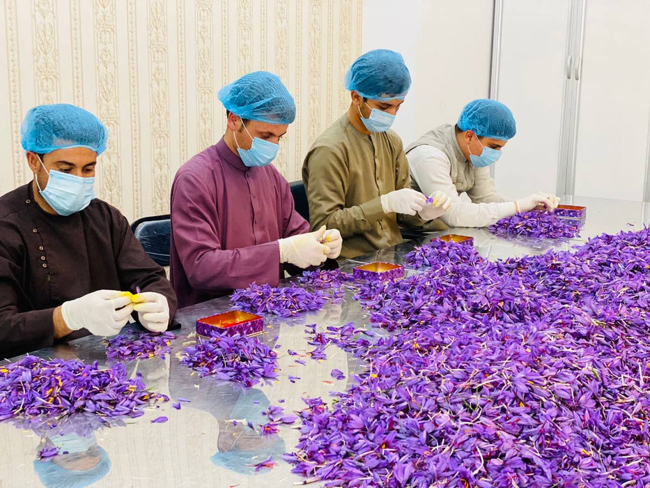 Bulk Afghanistan Saffron Premium Grade A, Sargol Negin Threads / Powder 1 KG (2.2) - 5 image
