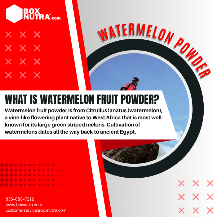 Watermelon Fruit Powder